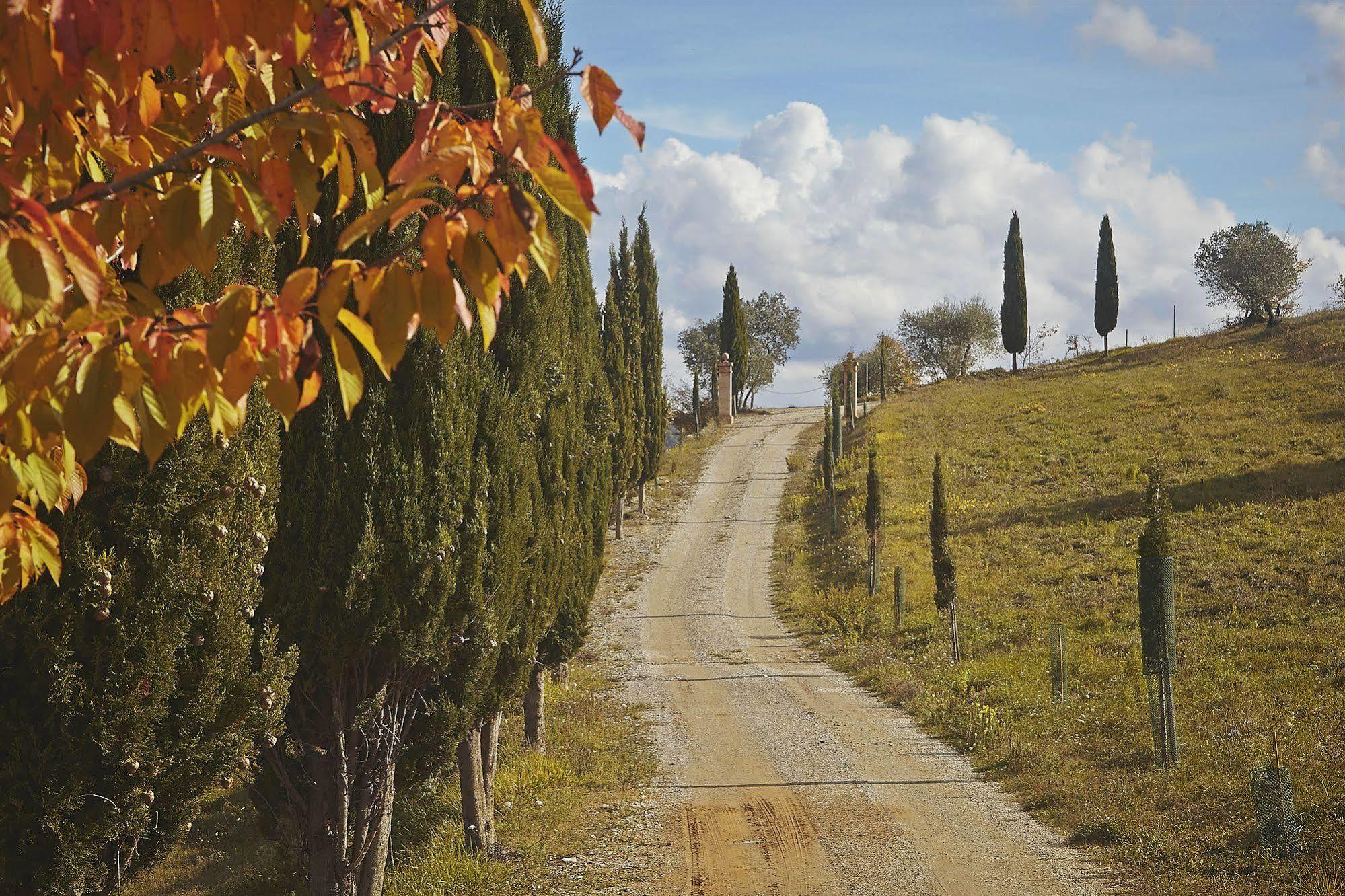 Гостевой дом Fattoria Poggio Al Sorbo Кастелина ин Шианти Экстерьер фото